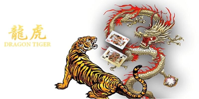 Những kinh nghiệm chinh chiến rồng hổ tại OK9 hiệu quả nhất