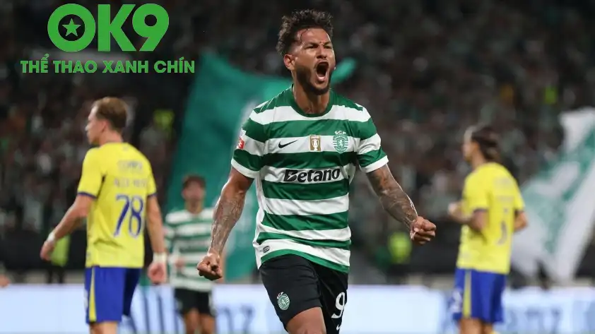 Sporting CP với lợi thế sân nhà và trình độ cao hơn rất nhiều được dự đoán sẽ có chiến thắng tưng bừng. Sporting CP với lợi thế sân nhà và trình độ cao hơn rất nhiều được dự đoán sẽ có chiến thắng tưng bừng.
