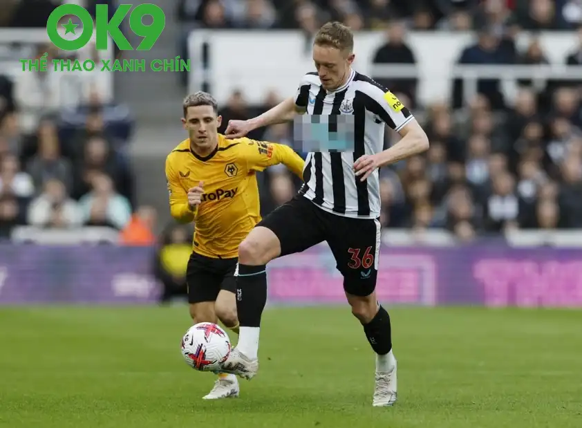 Newcastle được đánh giá cao hơn Wolves. (Ảnh: Internet) Newcastle được đánh giá cao hơn Wolves. (Ảnh: Internet)